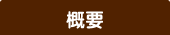 概要